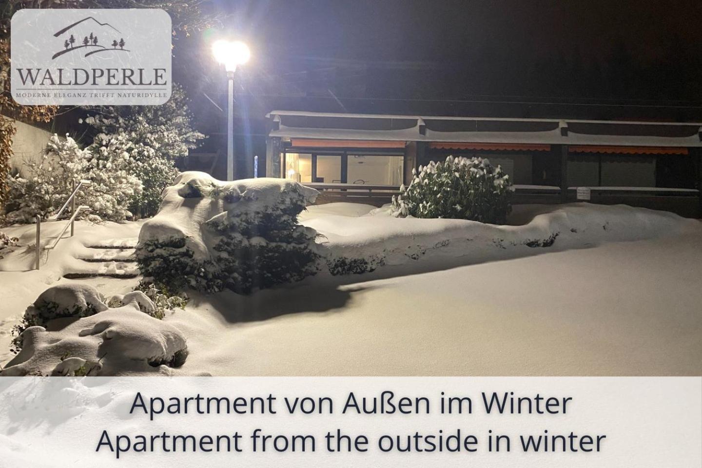 Exklusives 5-Sterne Apartment Waldperle Mit Indoor-Pool, Sauna, Top Lage Und Ausblick In Die Natur, Hunde Willkommen سخوناخ المظهر الخارجي الصورة