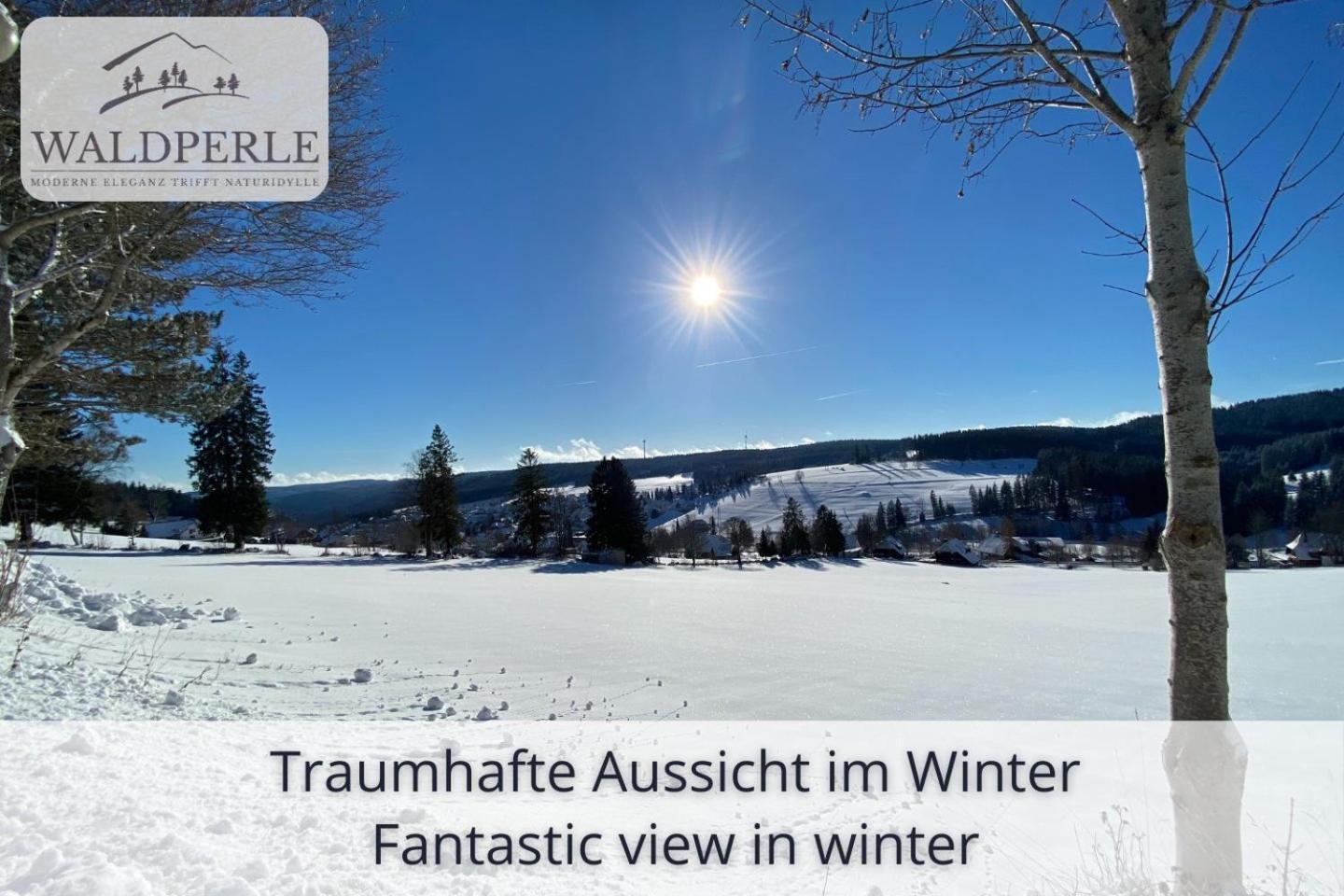 Exklusives 5-Sterne Apartment Waldperle Mit Indoor-Pool, Sauna, Top Lage Und Ausblick In Die Natur, Hunde Willkommen سخوناخ المظهر الخارجي الصورة