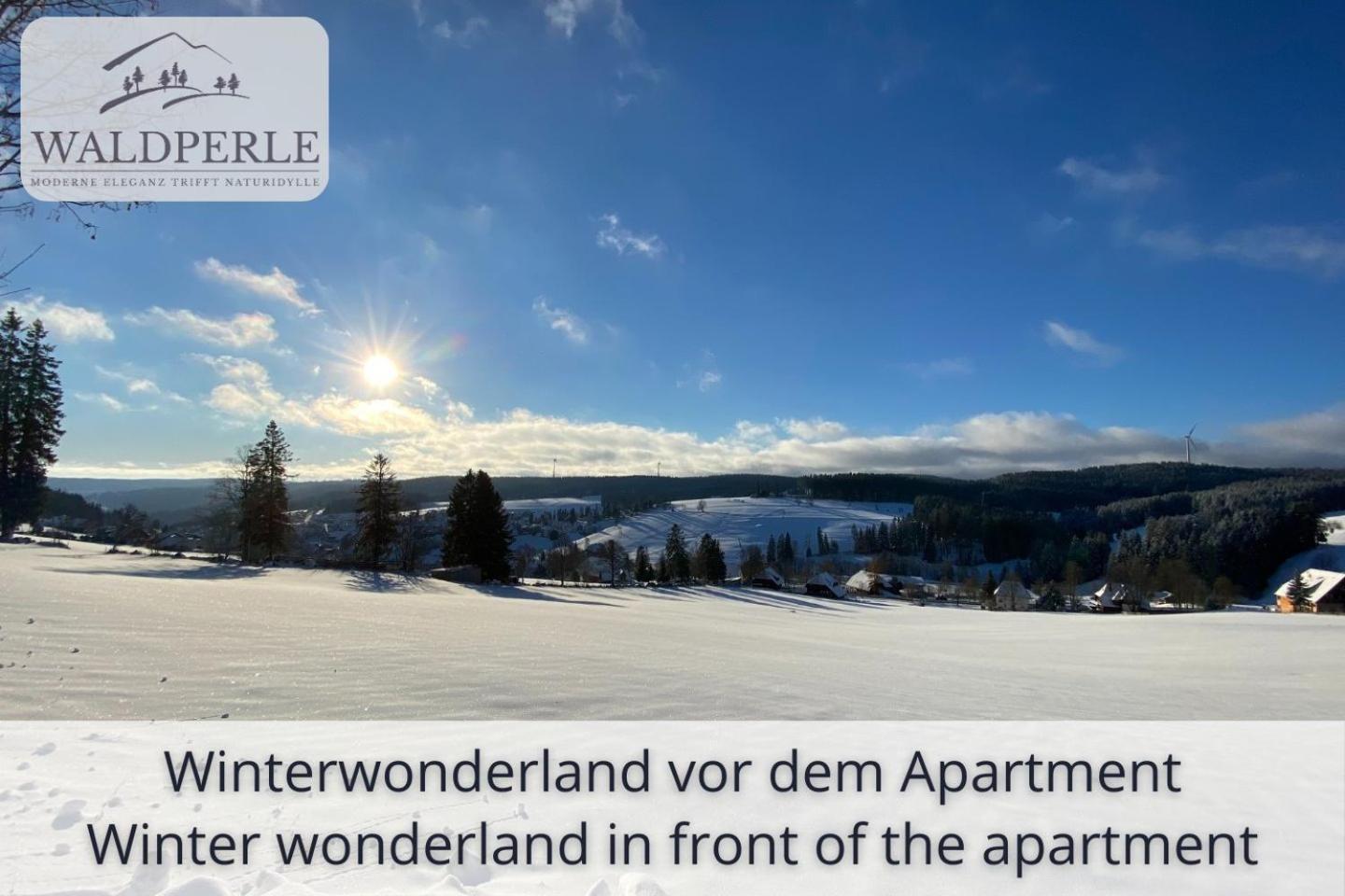 Exklusives 5-Sterne Apartment Waldperle Mit Indoor-Pool, Sauna, Top Lage Und Ausblick In Die Natur, Hunde Willkommen سخوناخ المظهر الخارجي الصورة