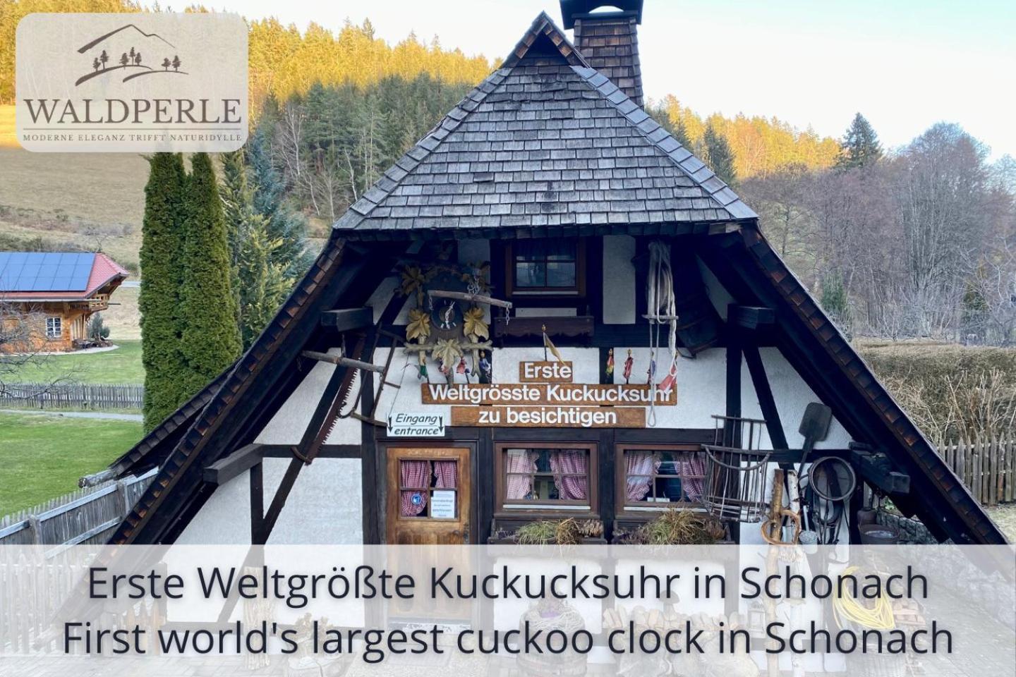 Exklusives 5-Sterne Apartment Waldperle Mit Indoor-Pool, Sauna, Top Lage Und Ausblick In Die Natur, Hunde Willkommen سخوناخ المظهر الخارجي الصورة